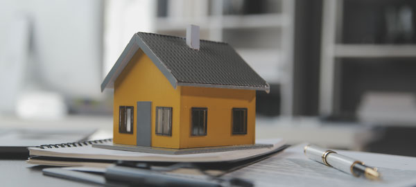 Property & Construction photo